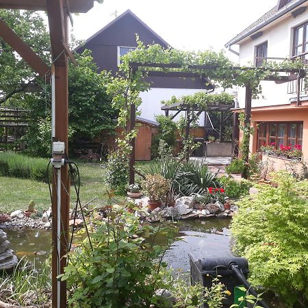 Pension Zeleny Strom Mikulov Buitenkant foto