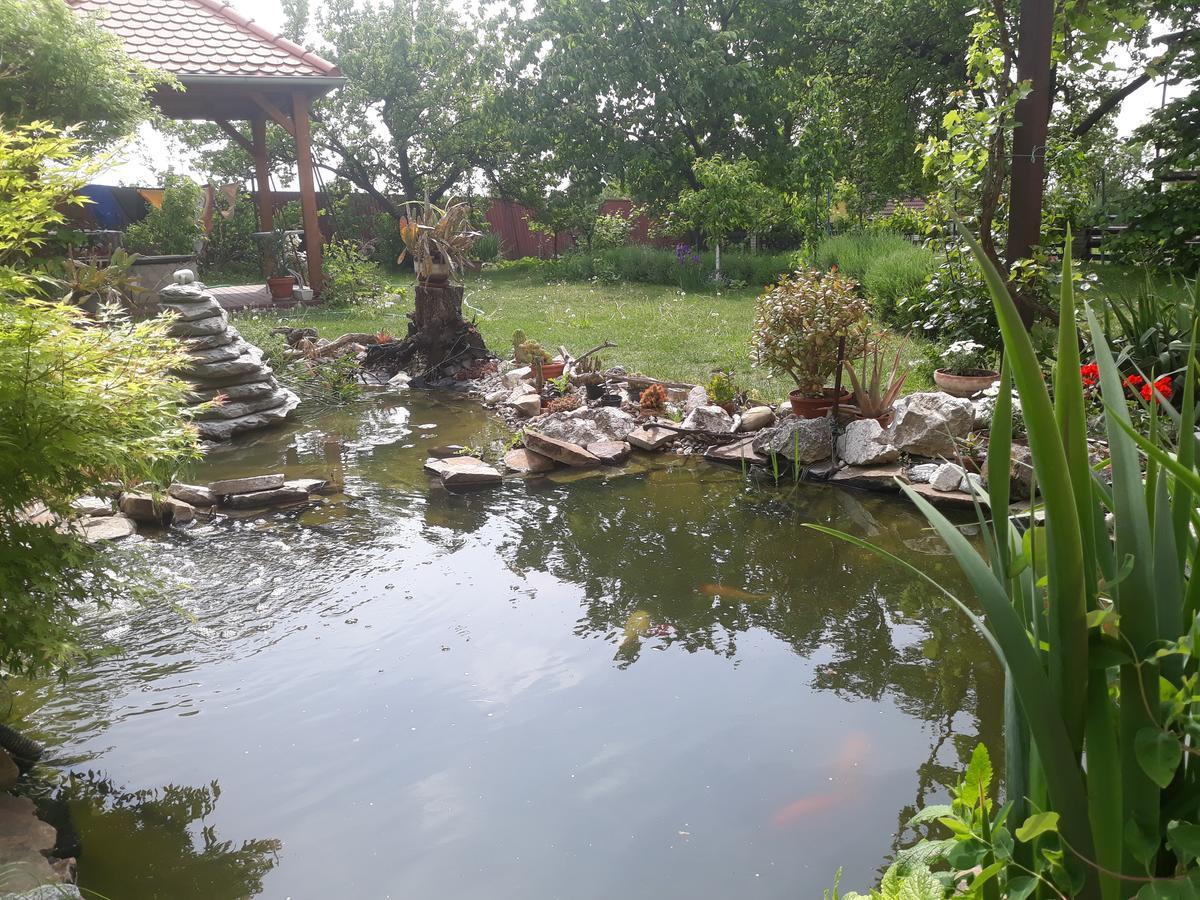 Pension Zeleny Strom Mikulov Buitenkant foto